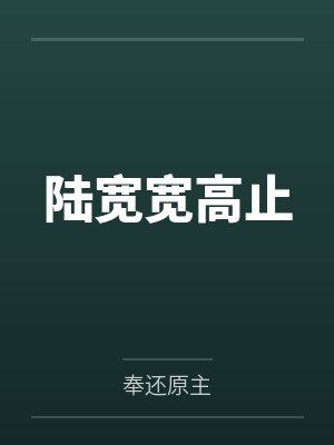 陆宽宽高止