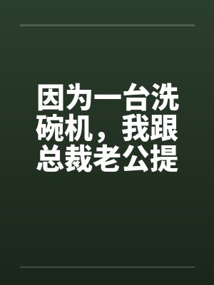 因为一台洗碗机,我跟总裁老公提了离婚 因为一台洗碗机,我跟总裁老公提了离婚