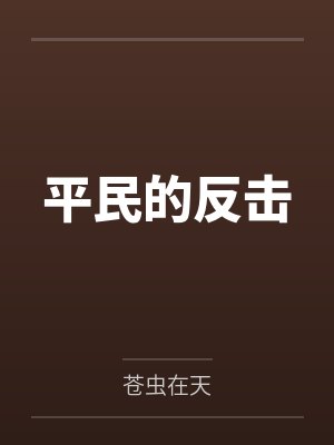 平民的反击 平民的反击
