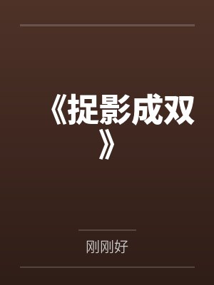 《捉影成双》