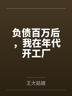 负债百万后,我在年代开工厂 负债百万后,我在年代开工厂