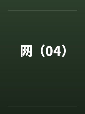网（04）