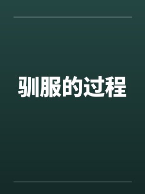 驯服的过程