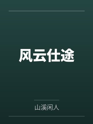 风云仕途