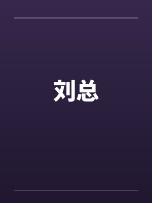 刘总