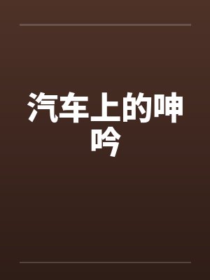 汽车上的呻吟 汽车上的呻吟