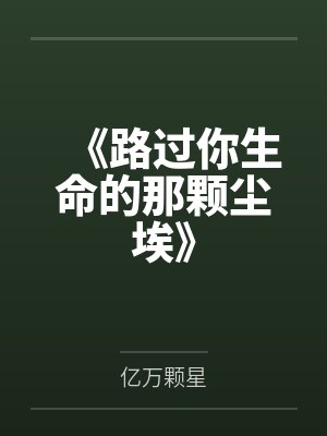 《路过你生命的那颗尘埃》 《路过你生命的那颗尘埃》