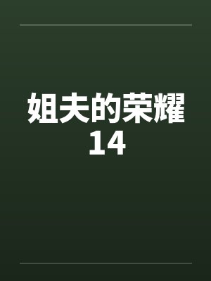 姐夫的荣耀14