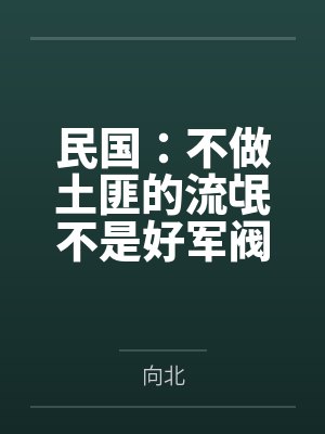 民国:不做土匪的流氓不是好军阀 民国:不做土匪的流氓不是好军阀